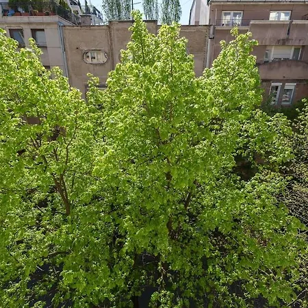 Budislav Lovely * Belgrad